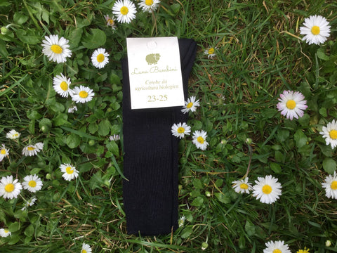 Dante Lungo (children)